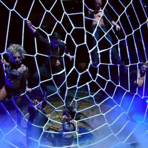dwts-spider-web-net (8)