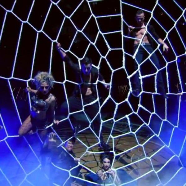 dwts-spider-web-net (9)